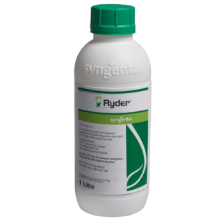 Pintura verde para césped RYDER 1 lt