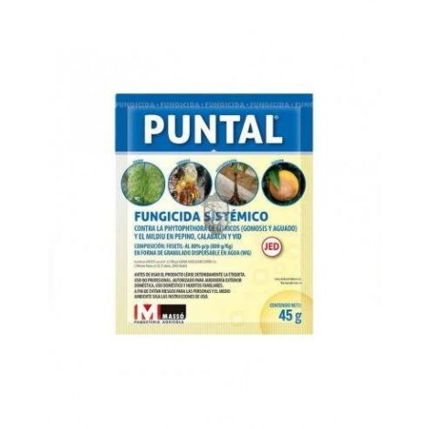 Puntal WG Fungicide 45 gr (Fosethyl-Al80%)