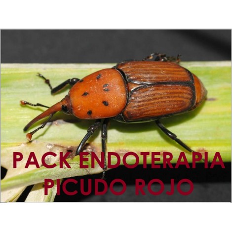 PACK Endoterapia picudo rojo de la palmera