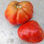 RED PEAR TOMATO seed