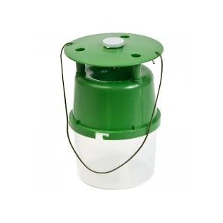 Trampa Polillero verde