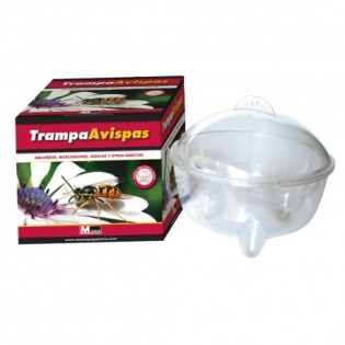Trampa transparente para avispas