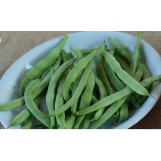 Graine de HARICOT DOUX