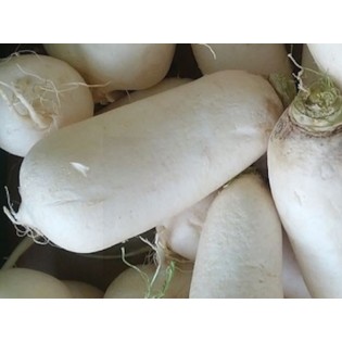 Llavor NAP BLANC ALLARGAT