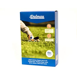 Semilla UP START Lolium multiflorum