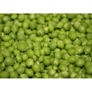 Graine de POIS CROCHET