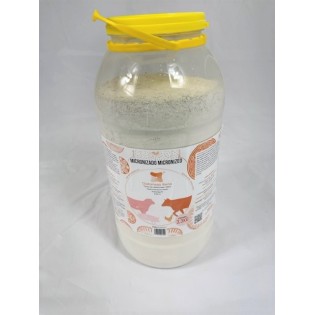 Terre de Diatomées IBERIA moulu 3.3 Kg