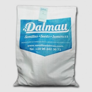 Graine a gazon varieté "MEDES"