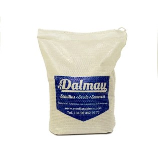 Semilla UP START Lolium multiflorum