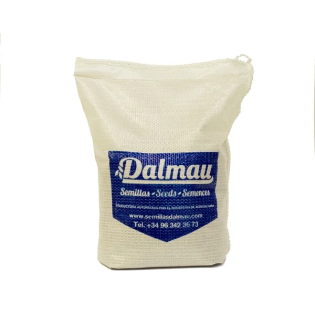 Graine DALMAU DICHONDRA
